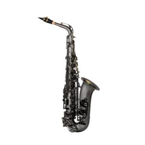 Trevor James | 374E-BBF Evo Alto Saxophone | Black Frost Finish